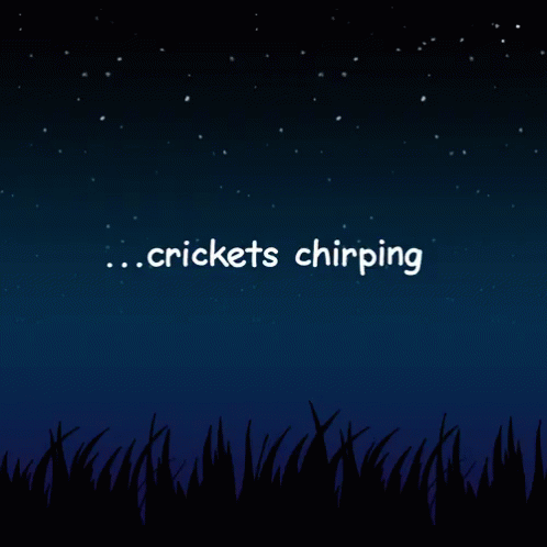cricket sounds effect