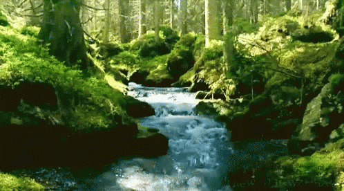 Nature Scenery GIF - Nature Scenery - Discover & Share GIFs
