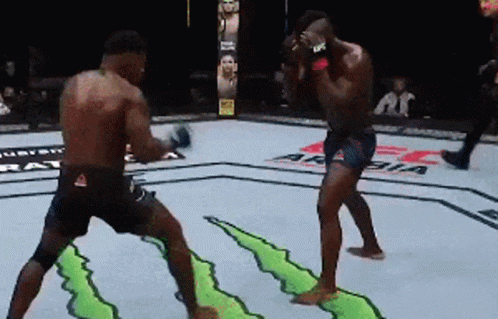 Ufc Joaquin Buckley Kick Ko2020Mma Fight GIF - UfcJoaquinBuckleyKickKo2020MmaFight - Discover & Share GIFs