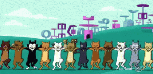 Dancing Cat Happy Birthday Gif Dancing Cat Happy Birthday Gif