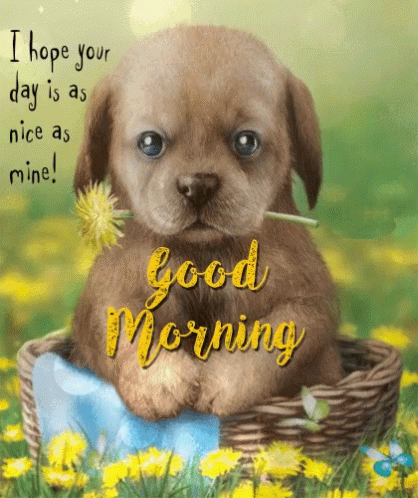 Good Morning Puppy GIF - GoodMorning Puppy Cute - Discover & Share GIFs