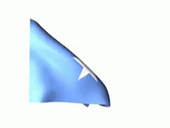 Image result for somali flag