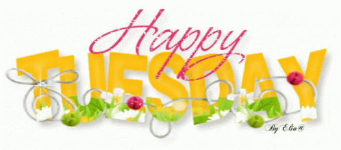 Happy Tuesday Spring GIF - HappyTuesday Spring Summer GIFs
