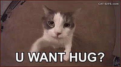 Image result for u need hug cat gif