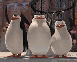 Smile Wave GIF - GIFs de pinguins do Smile Wave