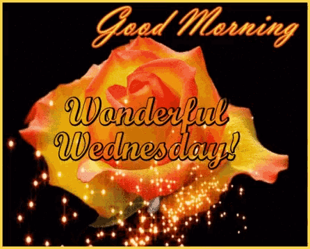 Wednesday Motivational Quotes Images Wednesday Motivational Quotes Images