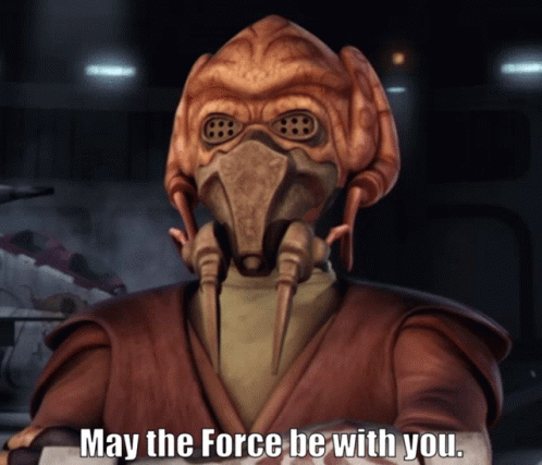 May The Force Be With You Gif