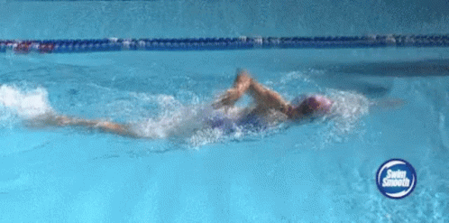 Pool Swimming GIF - Pool Swimming Sport GIFs