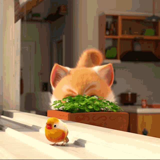 Cake Cat GIF Cake Cat FunnyCat Discover & Share GIFs