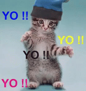 Yo Kitty GIF - Yo Kitten HeyThere - Descubre & Comparte GIFs