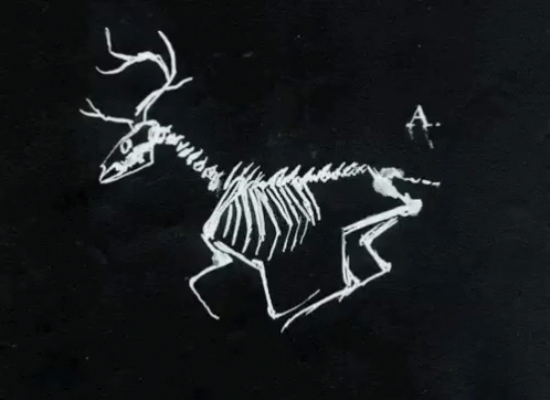 Deer Run GIF - Deer Run Skeleton - Discover & Share GIFs