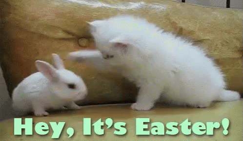 Hey Its Easter GIF - Easter Hey - Discover & Share GIFs