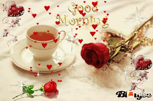 Good Morning Red Rose Gifs Tenor Good Morning Red Rose Gifs Tenor