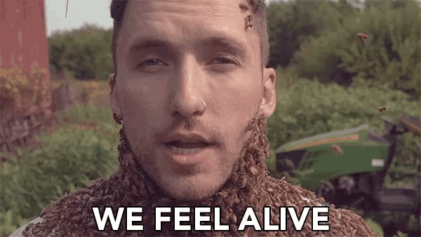 We Feel Alive Bees Gif Wefeelalive Bees Alive Discover Share Gifs