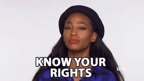 Know Your Rights Privileges GIF - KnowYourRights Privileges Entitled GIFs