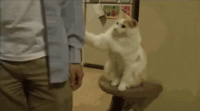 Hey You Re Cute Gifs Tenor Hey You Re Cute Gifs Tenor