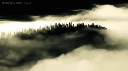 fog cloud gif fog