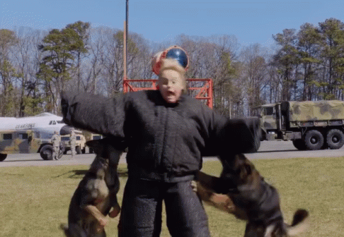Bit By Attack Dogs GIF - AttackDog Training RebelWilson - Discover ...