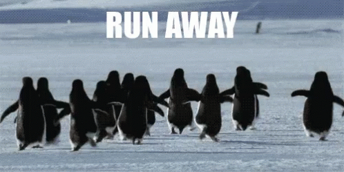 Image result for running away gifs