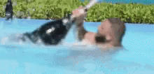 Dj Khaled Pool GIF - DjKhaled Pool Champagne GIFs
