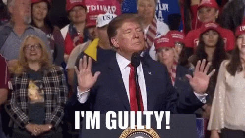 Image result for trump guilty gif
