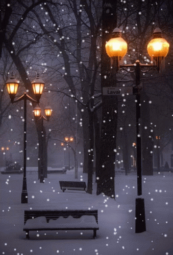 Street Lights Snowy Night GIF - StreetLights SnowyNight Winter - Discover &  Share GIFs