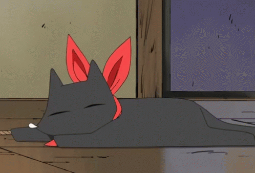 Cat anime gif