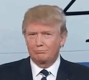 reaction gifs tenor