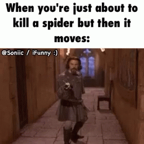 spider gifs tenor