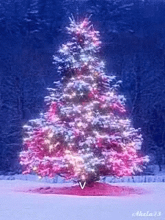 Christmas Christmas Tree GIF - Christmas ChristmasTree GIFs