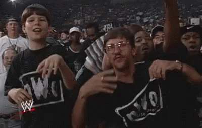 Image result for nwo for life gif
