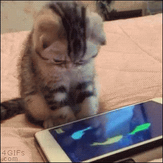 Image result for animals playing with ipad gifs