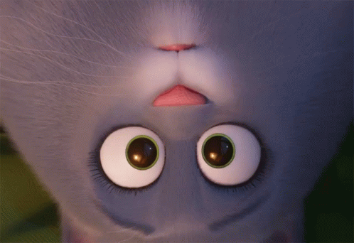 Pussy Close Up Gifs 6 Pussy Close Up Gifs 6