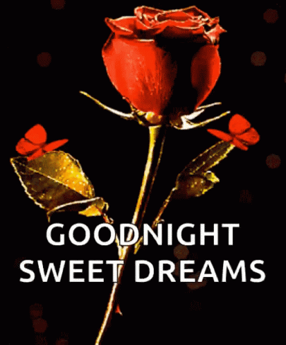 Sweet Dreams Good Night GIF - SweetDreams GoodNight Rose - Discover ...
