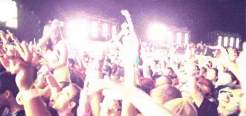 Image result for CONCERT GIF