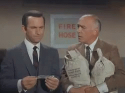 Get Smart GIF - Get Smart Maxwell - Discover & Share GIFs