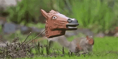spinning squirrel proof bird