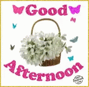 Good Afternoon GIF - GoodAfternoon - Discover & Share GIFs