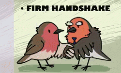 Bird Job Interview GIF - Bird JobInterview Interview GIFs