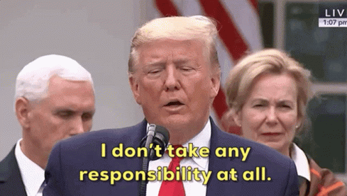 Donald Trump Responsibility GIF - DonaldTrump Responsibility  IDontTakeAnyResponsibilityAtAll - Discover & Share GIFs