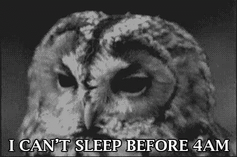 Night Owl GIFs | Tenor