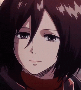 anime ackerman gif anime