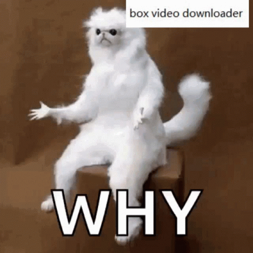 Box Video Downloader Why GIF - BoxVideoDownloader Why ...