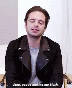 sebastian stan stop youre