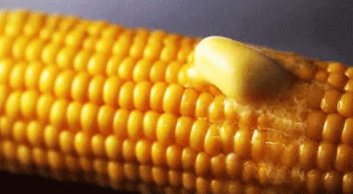 Image result for melting butter on corn gif