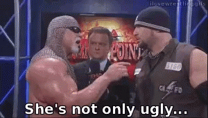 Image result for scott steiner shes fat gif