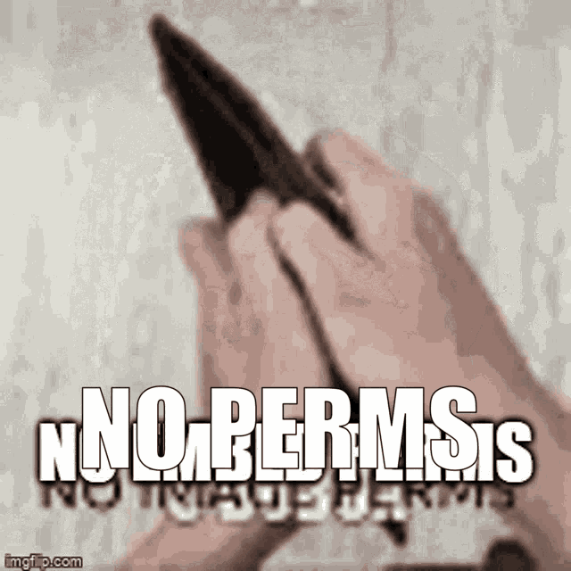 No Perms No Embed Perms GIF NoPerms NoEmbedPerms NoImagePerms