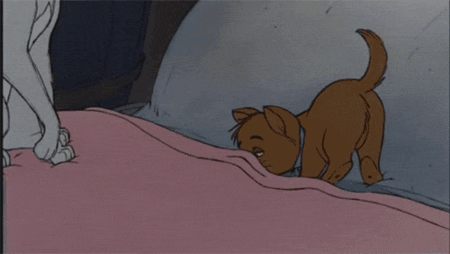 This Is Why Your Body Jerks Right After You Sleep