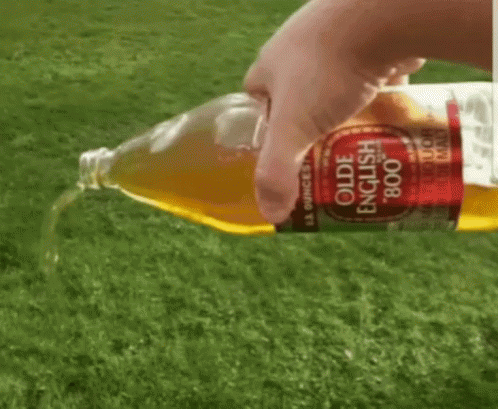 Pouring Out A 40 GIFs | Tenor