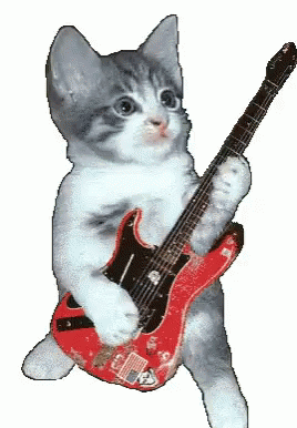tenor.gif